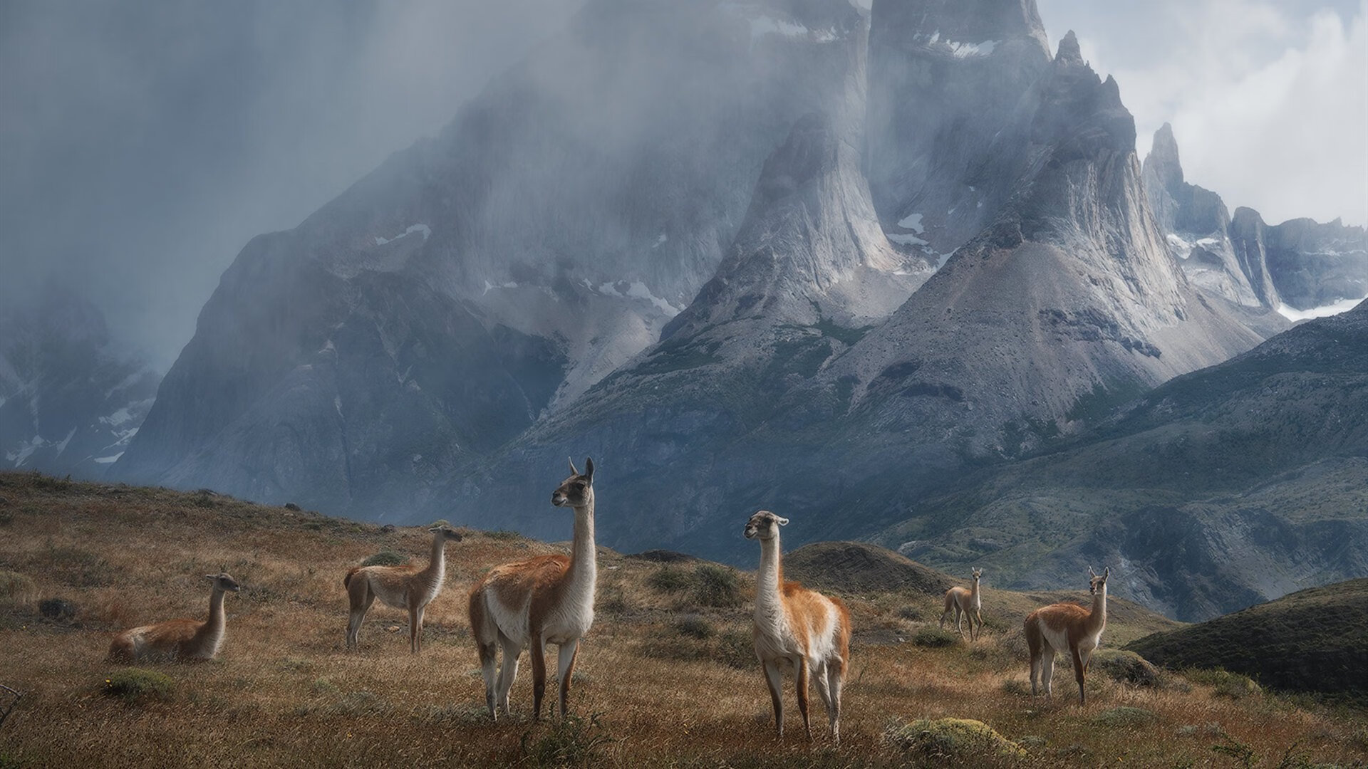 MVP王强:关键三分锁定胜局,荣获全场最高分!,王强打多少分