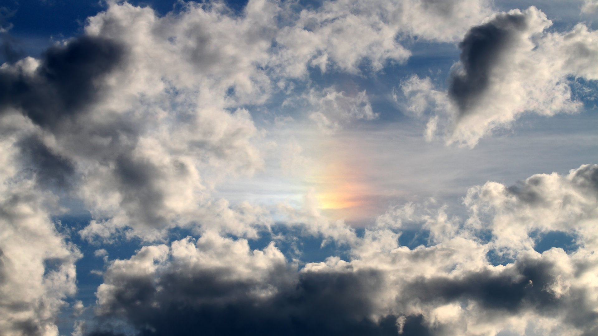 kaiyun.com-_猛龙突如其来，逆转战术卓越_，猛龙反击