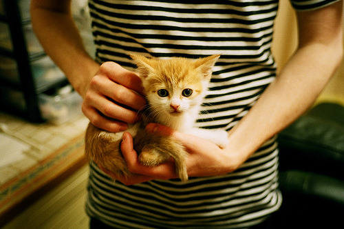 突破极限：运动员纪录背后隐藏的努力，训练突破极限