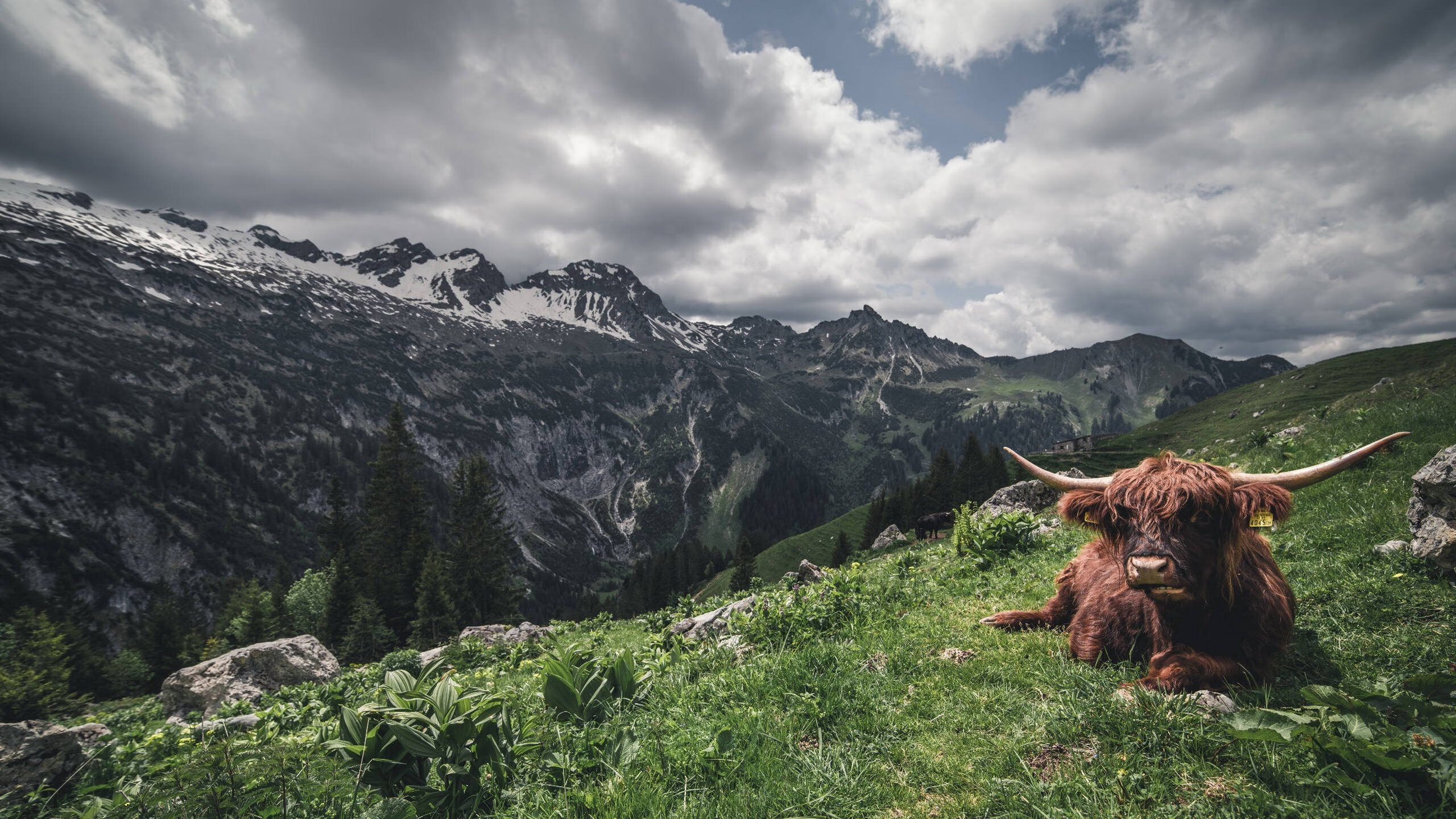 山东高速主力阵容实力增强，山东高速新项目