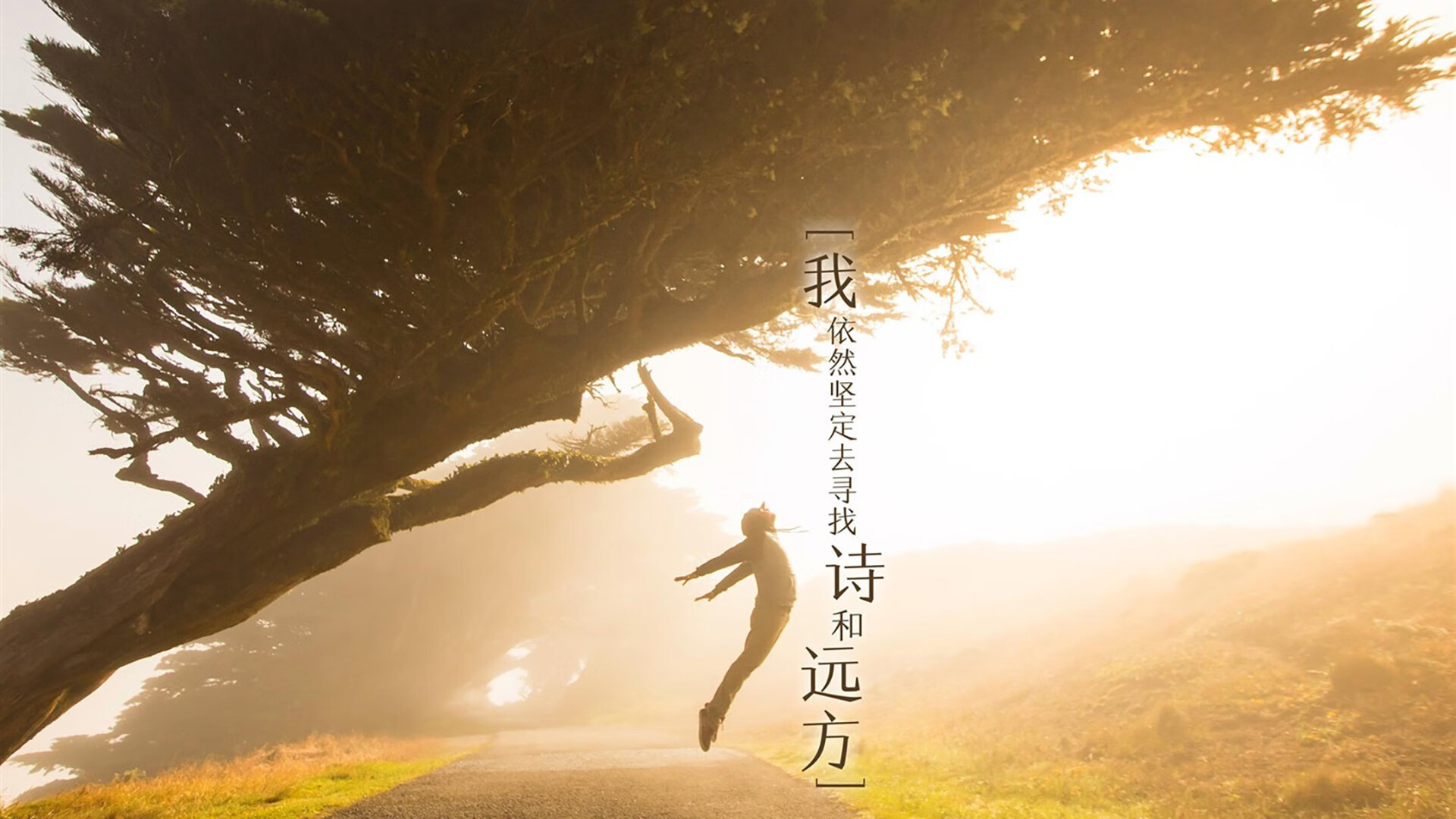 波鸿对决沃尔夫斯堡，德乙升班马较量，沃尔夫斯堡对阵波鸿