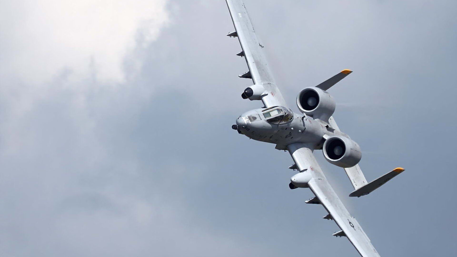 缅因凯尔特人球员获G联赛MVP,缅因凯米尔色好不好