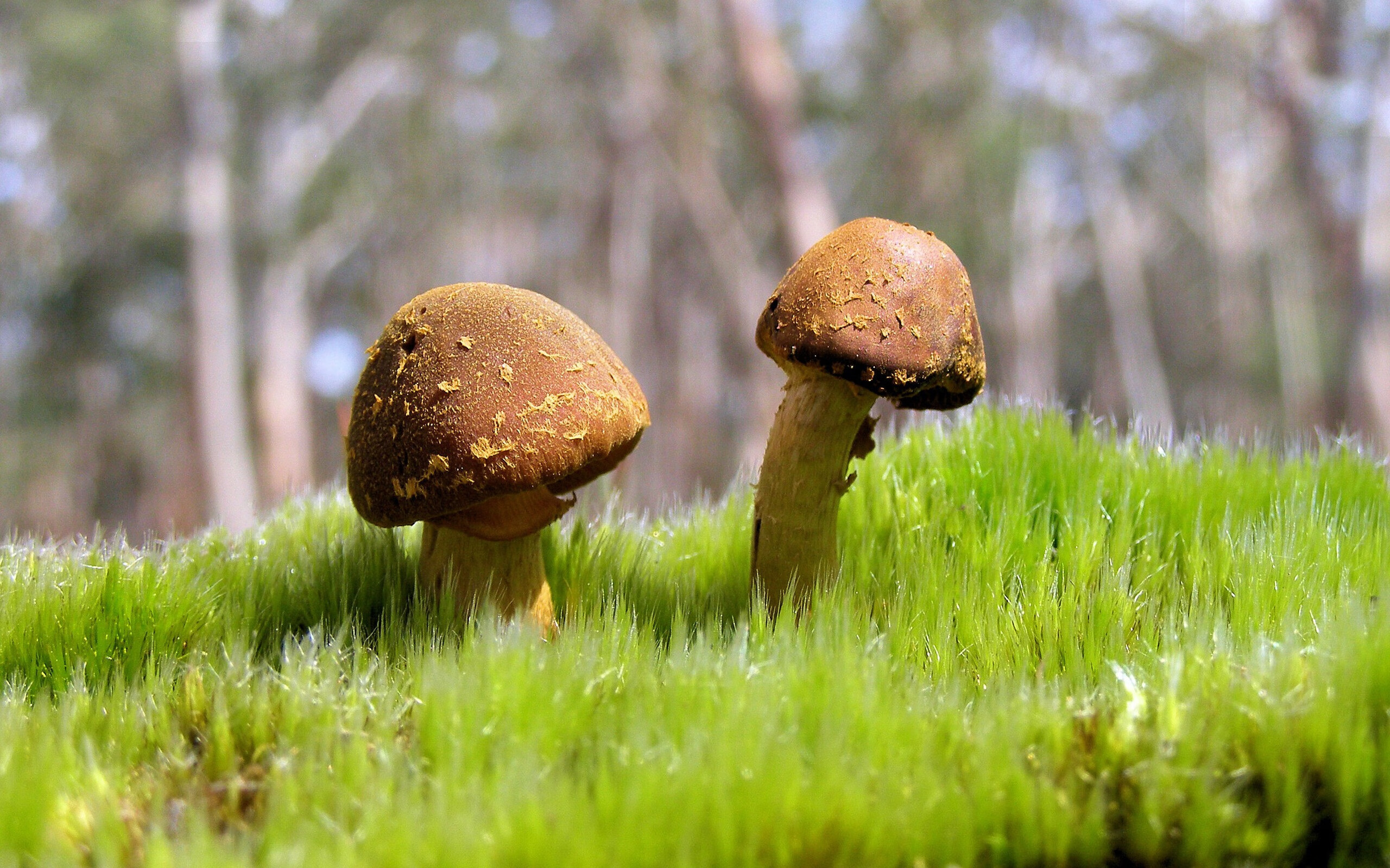 霍芬海姆门将领衔精英阵容，积极备战，霍芬海姆队