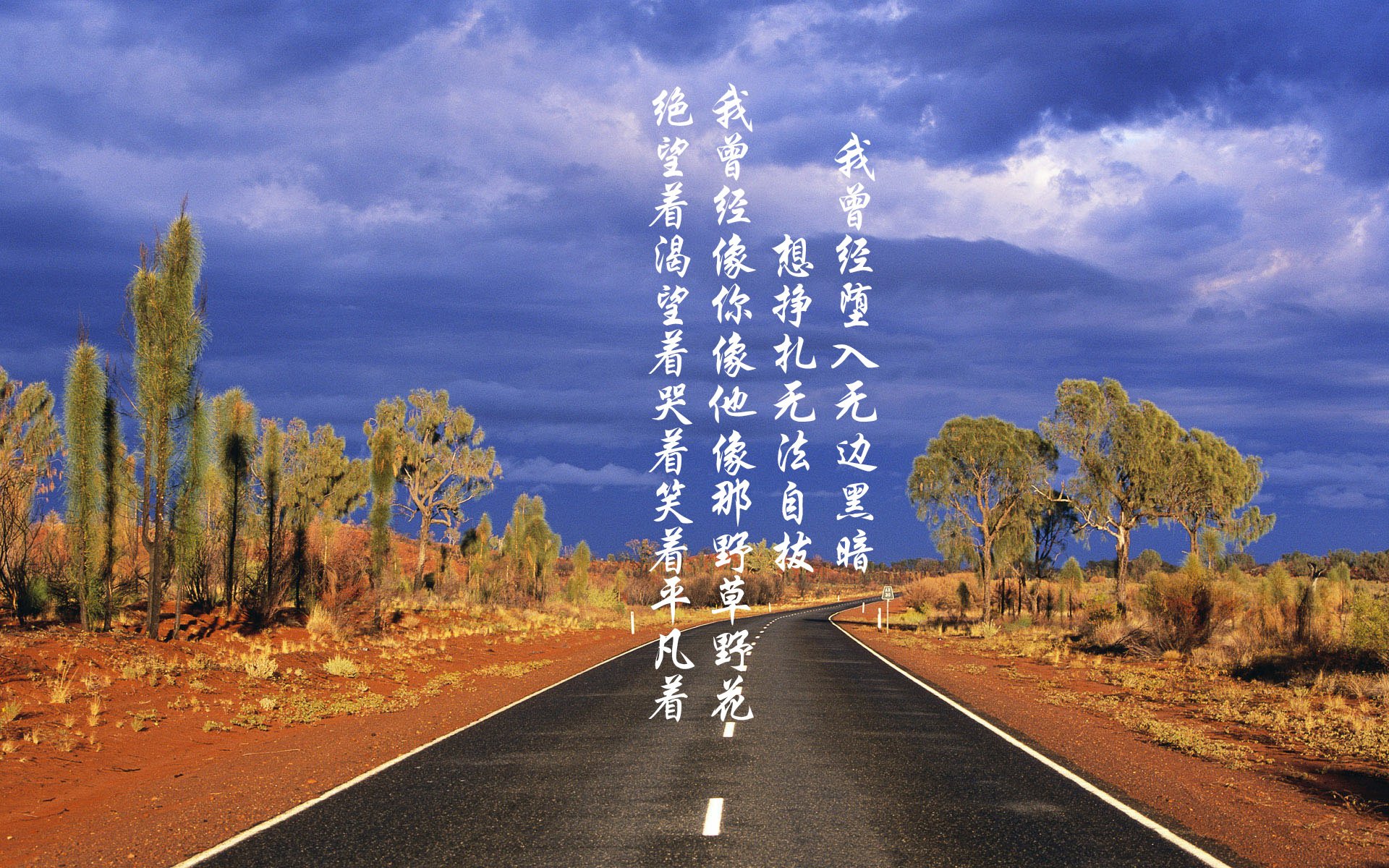 青岛男篮球队阵容深度增加，青岛男篮大名单