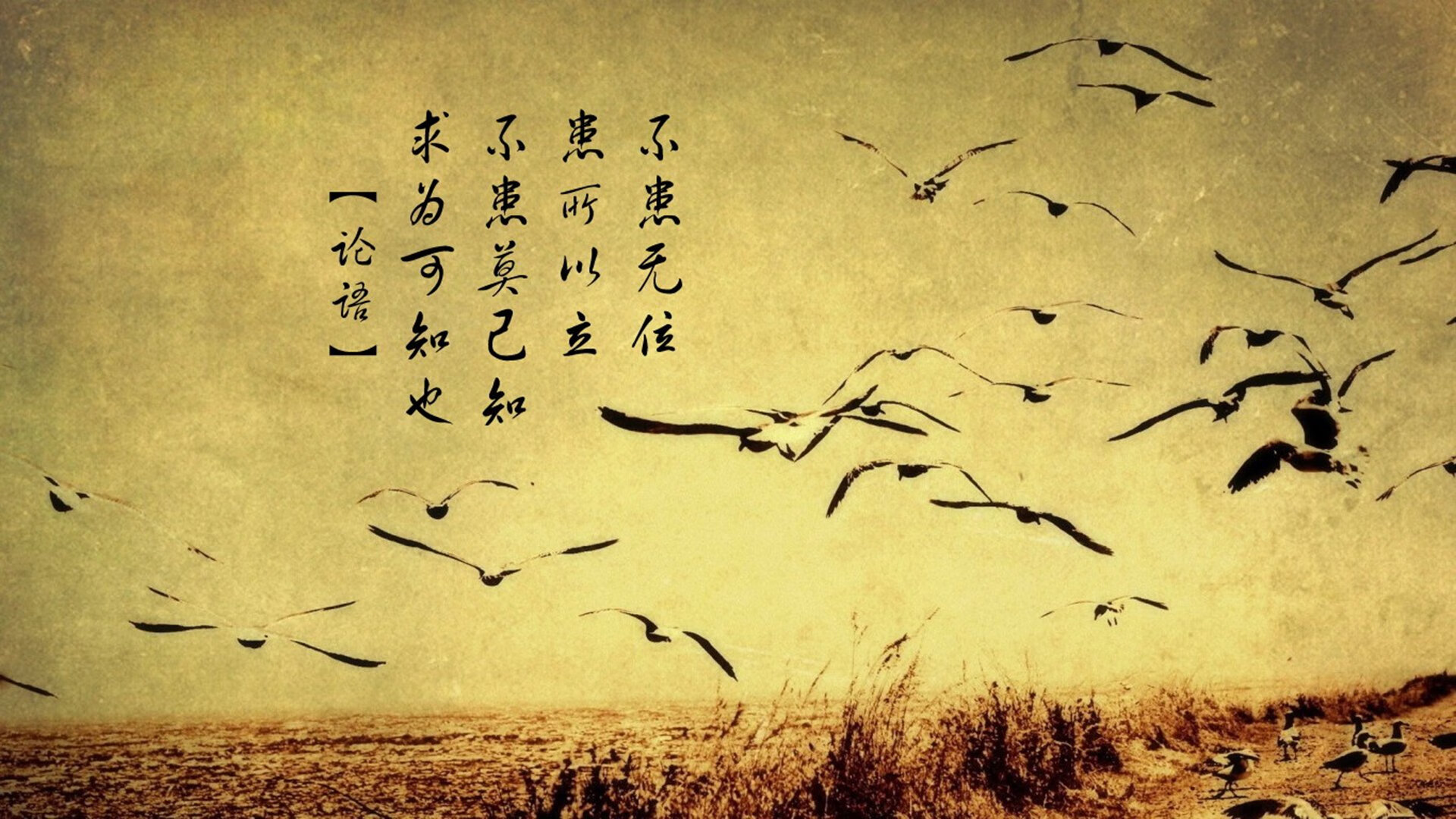 kaiyun中国官方网站-意甲球员受限空间下的传控效率与认知干预的实验研究