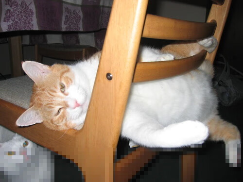 篮球运动员训练营管理体系设计与运营模式创新研究，篮球训练营运营方案