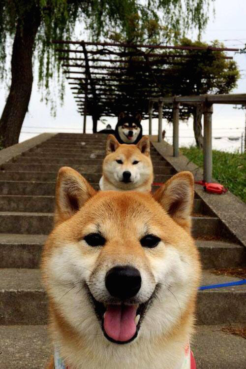 开云网页版登录入口-青训体能课表调整适应成长节奏差异，青训体验