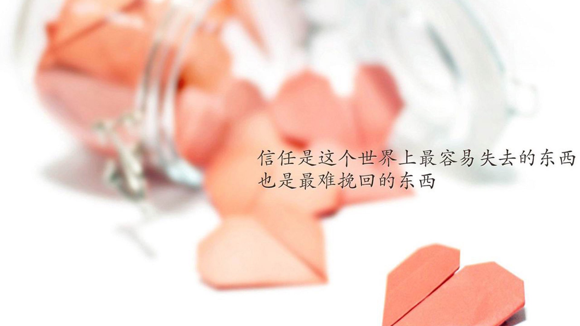 澳大利亚橄榄球青训体系的全球化进程进一步加速，澳大利亚橄榄球队