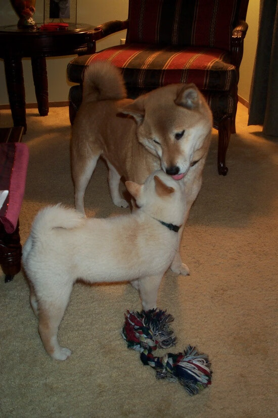 篮球青训基地升级设施改善训练环境，篮球青训队还能上学吗