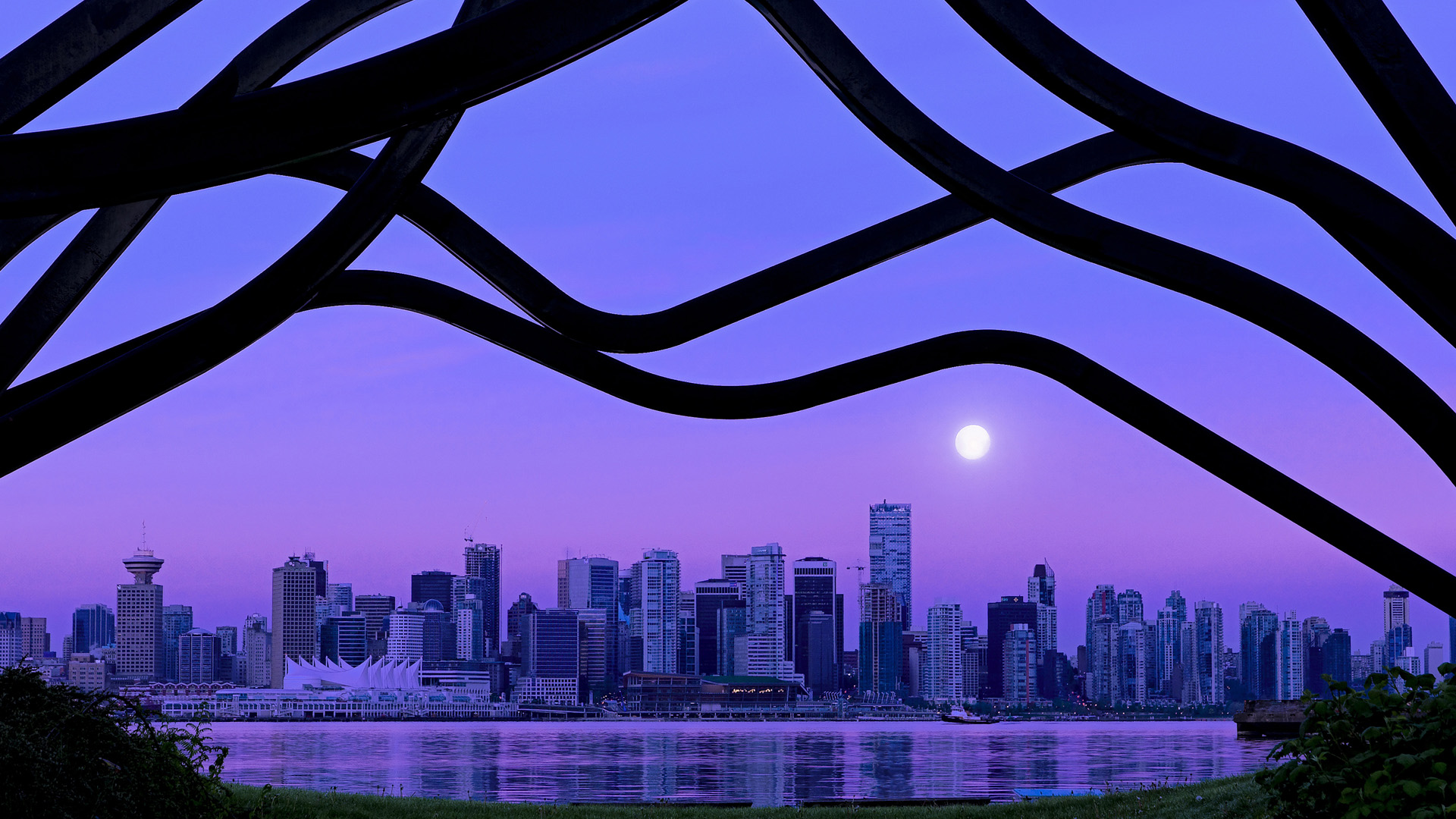 开云网站-里根·史密斯再次证明世界顶尖实力，美国游泳里根史密斯